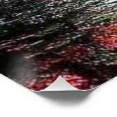 天の虹 ポスター (コーナー)