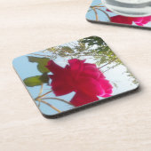 天の開花：空に対するバラ コースター (左側)