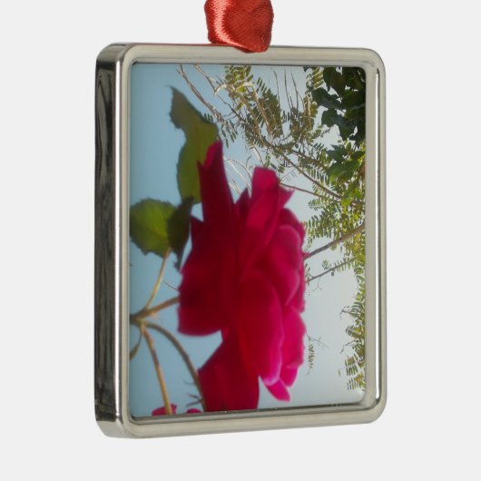 天の開花:空に対するバラ メタルオーナメント (右)