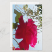 天の開花：空に対するバラ 便箋 (正面/裏面)