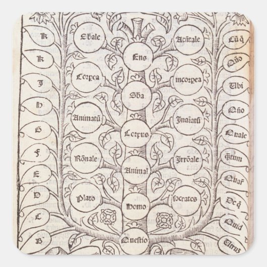 天上梯子 スクエアシール (正面)