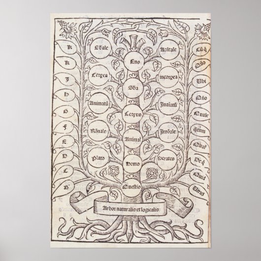 天上梯子 ポスター (正面)