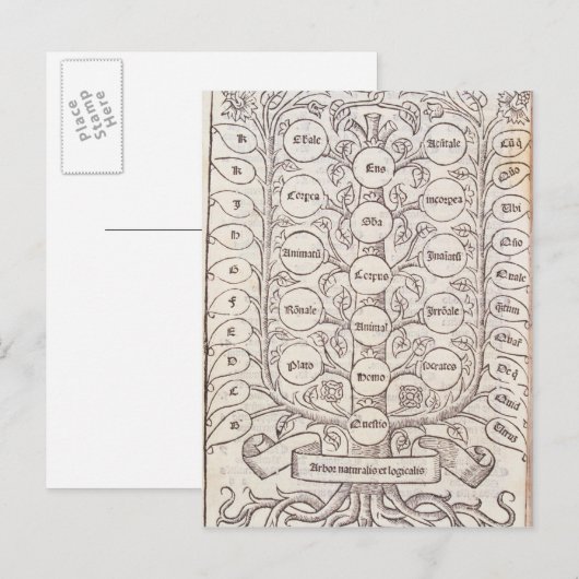 天上梯子 ポストカード (正面/裏面)