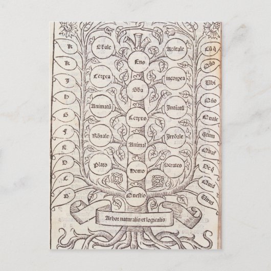 天上梯子 ポストカード (正面)