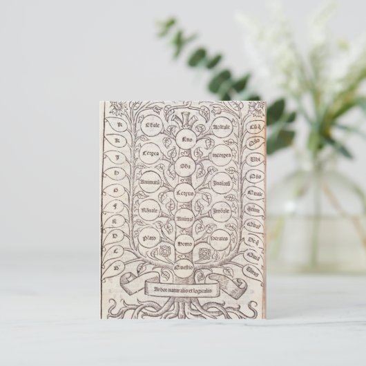 天上梯子 ポストカード (スタンド正面)