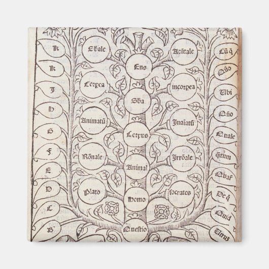 天上梯子 マグネット (正面)