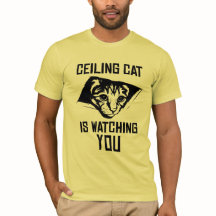 天井猫は見ています!