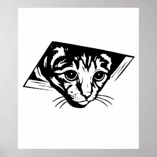 天井猫 ポスター (正面)