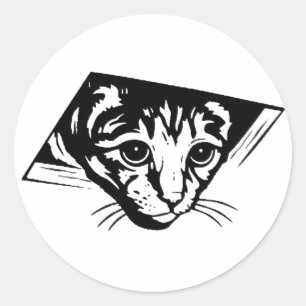 天井猫 ラウンドシール