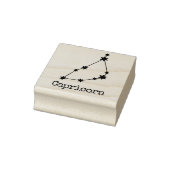 天体占星術山羊座 ラバースタンプ (スタンプ)