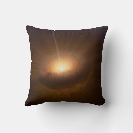 天体Cx330。 クッション (裏面)