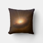 天体Cx330。 クッション (正面)