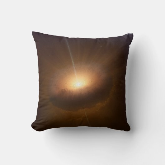 天体Cx330。 クッション (正面)