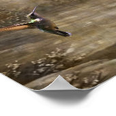 天使が神の音楽のポスターに踊る ポスター (角)