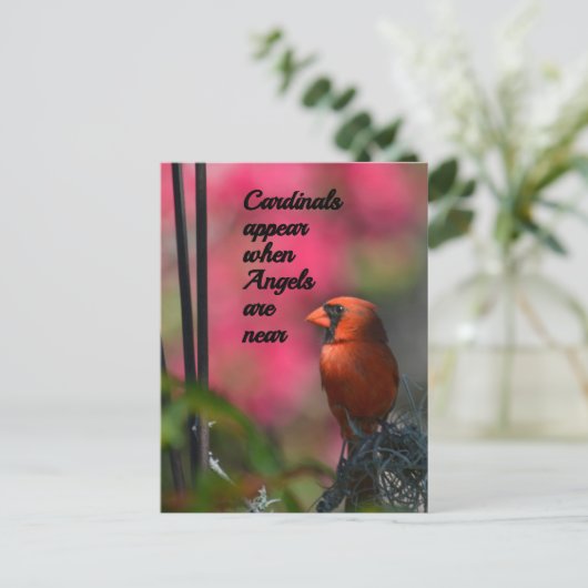 天使が近くにいるときにカーディナルが現れる ポストカード (スタンド正面)