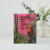 天使が近くにいるときにカーディナルが現れる ポストカード (スタンド正面)