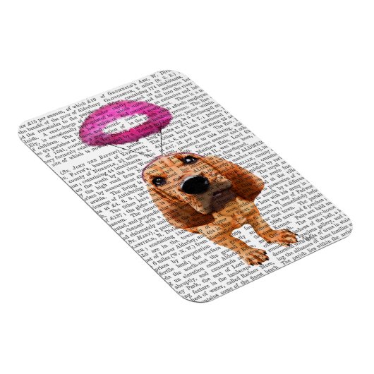 天使のようなピンクのハローを持つブラッドハウンド マグネット (右側)