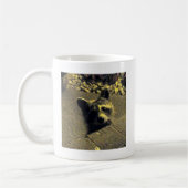 天使のアライグマの~の顔 コーヒーマグカップ (左)