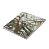 天使のオークの木のギフト タイル (側面)