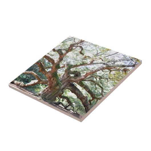天使のオークの木のギフト タイル (側面)