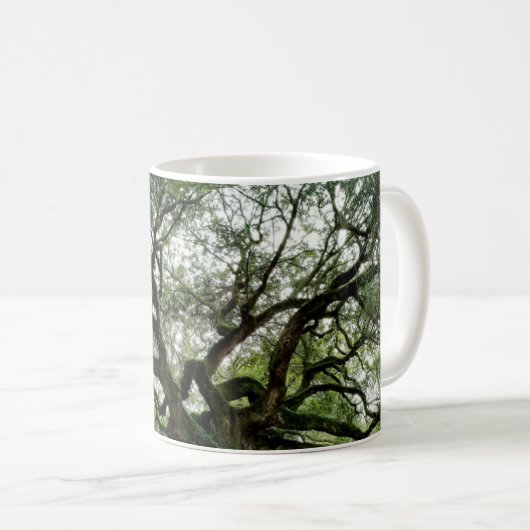 天使のオークの木、ジョンの島、SC コーヒーマグカップ (正面右)