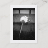 天使のキス 名刺 (裏面)