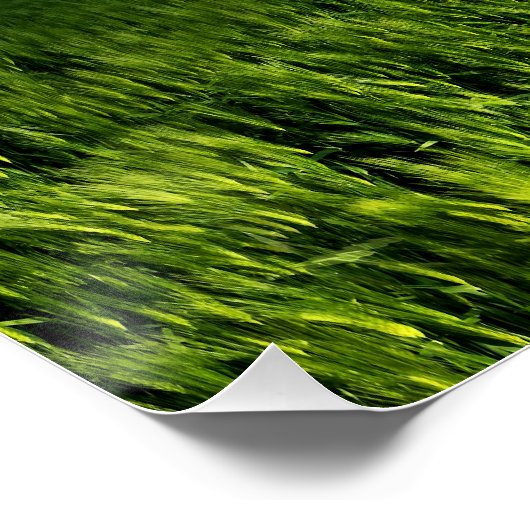 天使の方向 ポスター (コーナー)