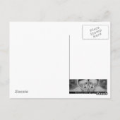 天使の火 ポストカード (裏面)