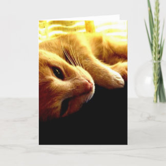 天使の目 カード