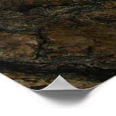 天使の着陸 ポスター (角)