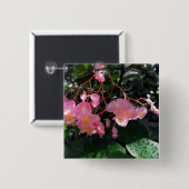 天使の翼のベゴニア 缶バッジ (正面&裏面)