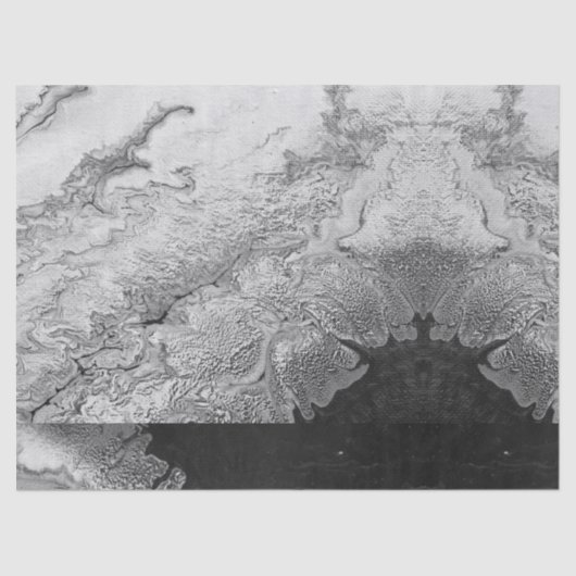 天使の翼の天国の白写真パターンのどの石 薄葉紙 (正面)