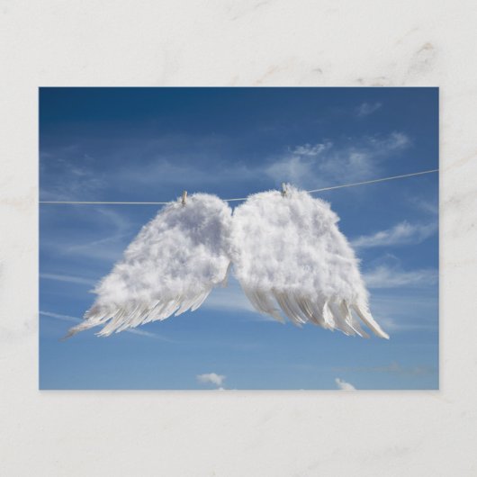 天使の翼を乾燥させる。 ポストカード (正面)