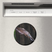 天使の翼 マグネット (インサイチュ (食洗機))