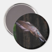 天使の翼 マグネット (正面/裏面)