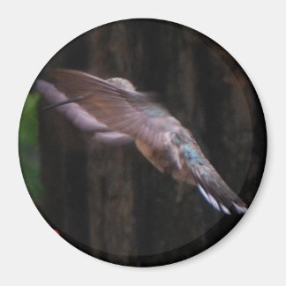 天使の翼 マグネット