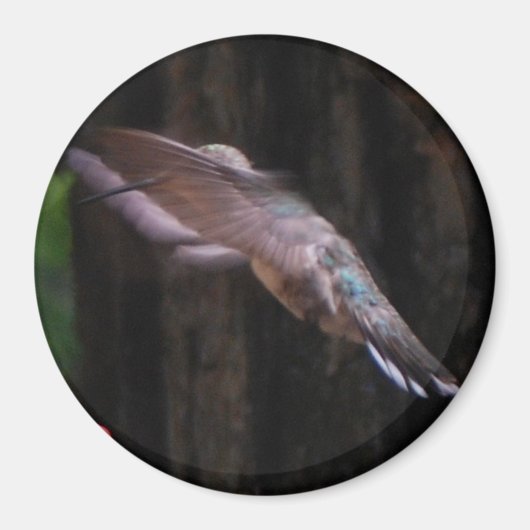 天使の翼 マグネット (正面)