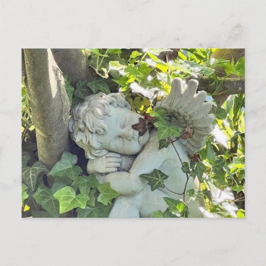 天使の葉書 ポストカード (正面)