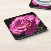 天使の顔のばら色の終わり コースター (左側)