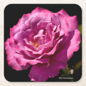 天使の顔のばら色の終わり スクエアペーパーコースター (正面)