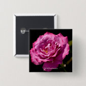 天使の顔のばら色の終わり 缶バッジ (正面&裏面)