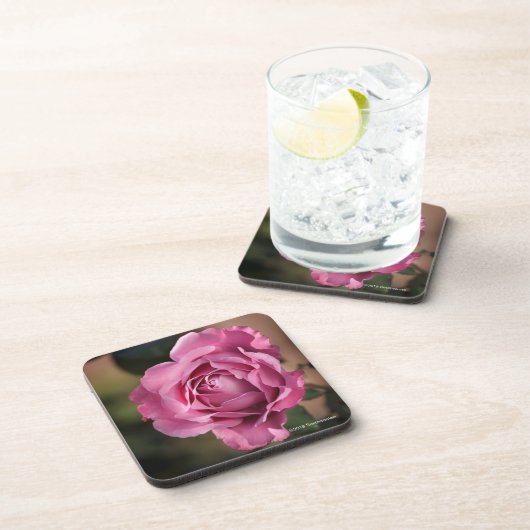 天使の顔は上がりました コースター (右側)