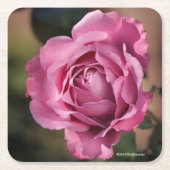 天使の顔は上がりました スクエアペーパーコースター (正面)