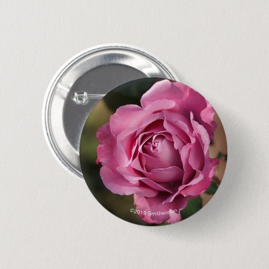 天使の顔は上がりました 缶バッジ (正面&裏面)