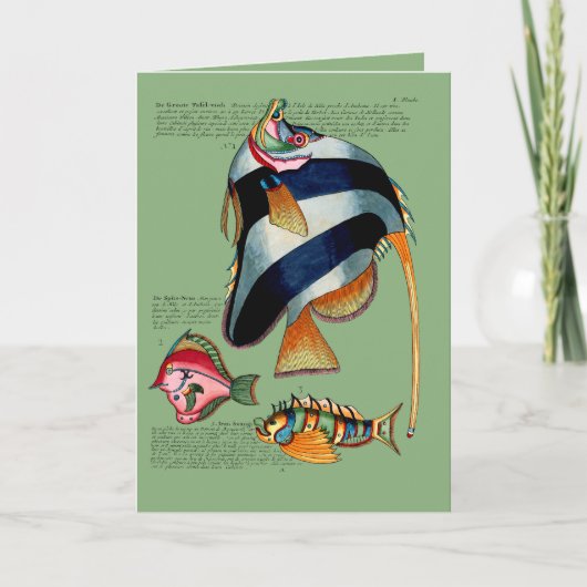 天使の魚と友人 シーズンカード (正面)