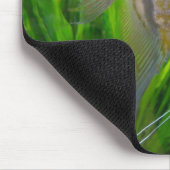 天使の魚のマウスパッド マウスパッド (コーナー)