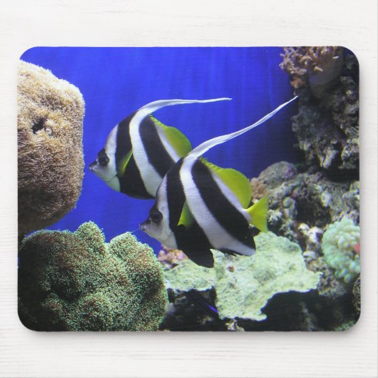 天使の魚 マウスパッド (正面)