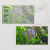 天使の魚 名刺 (正面/裏面)