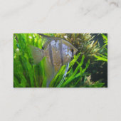 天使の魚 名刺 (裏面)