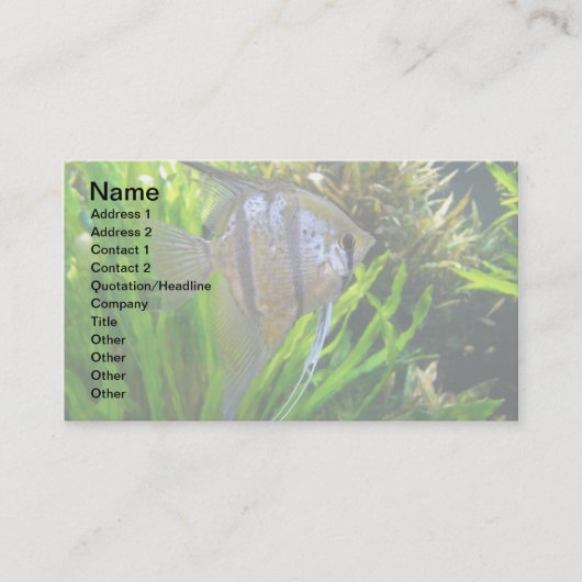 天使の魚 名刺 (正面)
